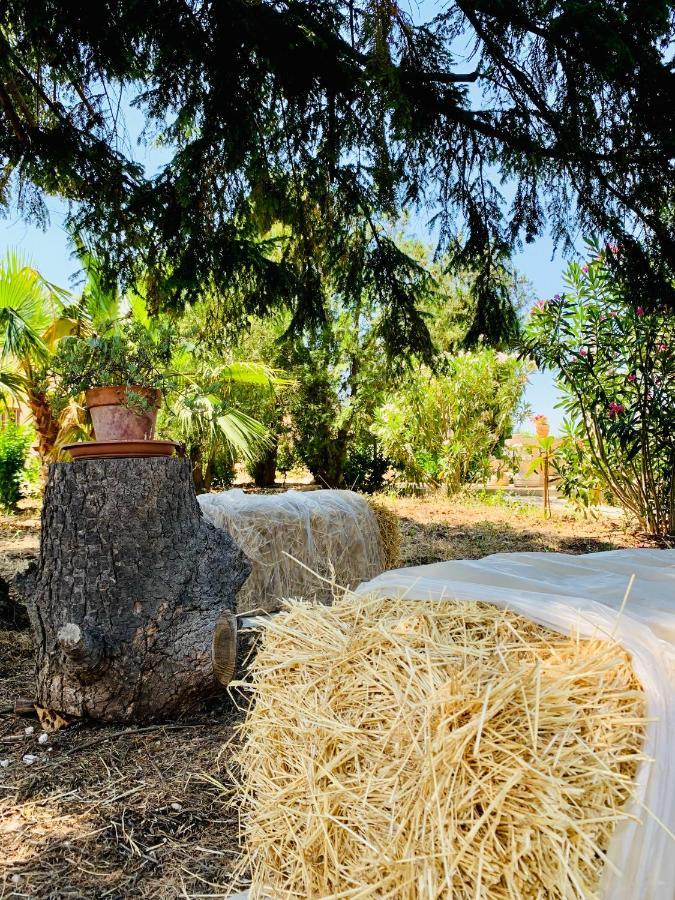 הוילה אלברובלו Trulli Pietra Viva מראה חיצוני תמונה